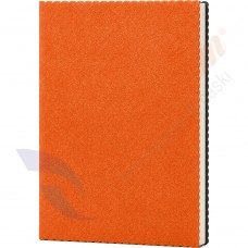 Erciyes-T Tarihsiz Defter