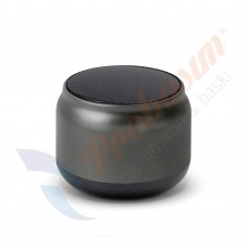 SPK-45-FM Bluetooth Speaker