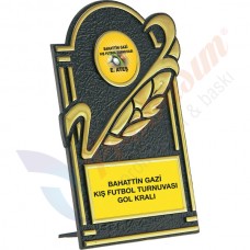 ST-15 Plaket